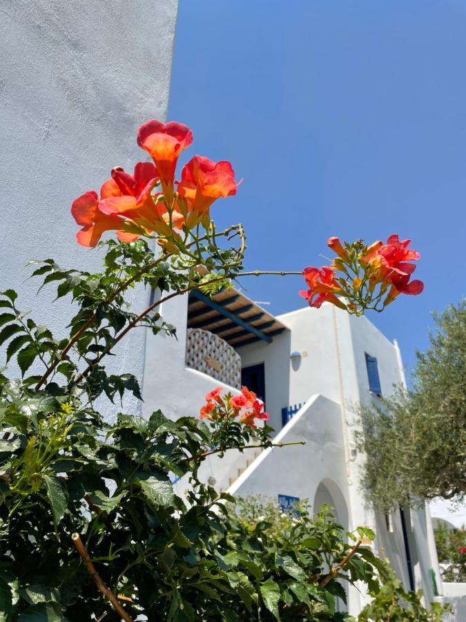 Villa Gelly'S Studios Aliki  Exterior photo